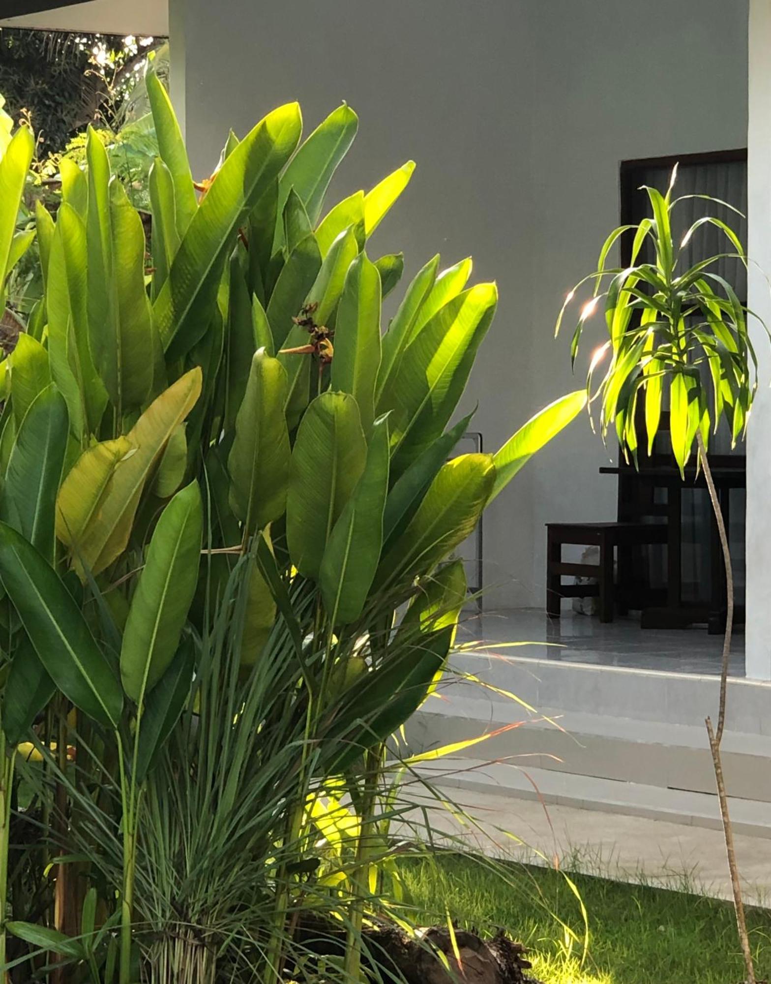 Maha Di Nusa Lembongan Zewnętrze zdjęcie